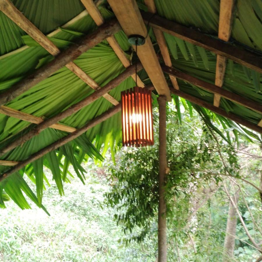 Wooden Cottage 埃拉 外观 照片